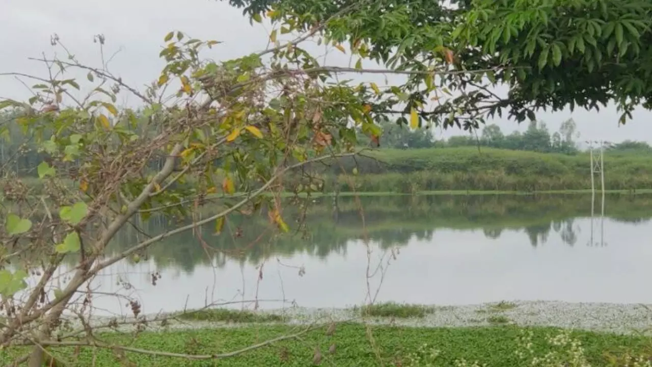 Chandapura Lake | ಕೆರೆ ಮಾಲಿನ್ಯ: 54 ಕೈಗಾರಿಕೆಗಳಿಗೆ 140 ಕೋಟಿ ರೂ. ದಂಡ