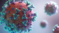 HMPV Virus | ಬೆಂಗಳೂರಿನಲ್ಲಿ ಎಚ್‌ಎಂಪಿವಿ ಎರಡು ಪ್ರಕರಣ ದೃಢ; ಮಾರ್ಗಸೂಚಿ ಪ್ರಕಟಿಸಿದ ಸರ್ಕಾರ
