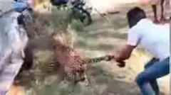 ಅರಣ್ಯಾಧಿಕಾರಿಗಳಿಗೆ ಚಿರತೆ ಹಿಡಿದು ಕೊಟ್ಟ ತುಮಕೂರಿನ ಯುವಕ