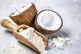 Coconut Powder | ತೆಂಗಿನಕಾಯಿ ಬದಲು ಮಾರುಕಟ್ಟೆಗೆ ಬಂದಿದೆ ತೆಂಗಿನ ಪುಡಿ: ಫಟಾಫಟ್‌ ಅಡುಗೆ ರೆಡಿ