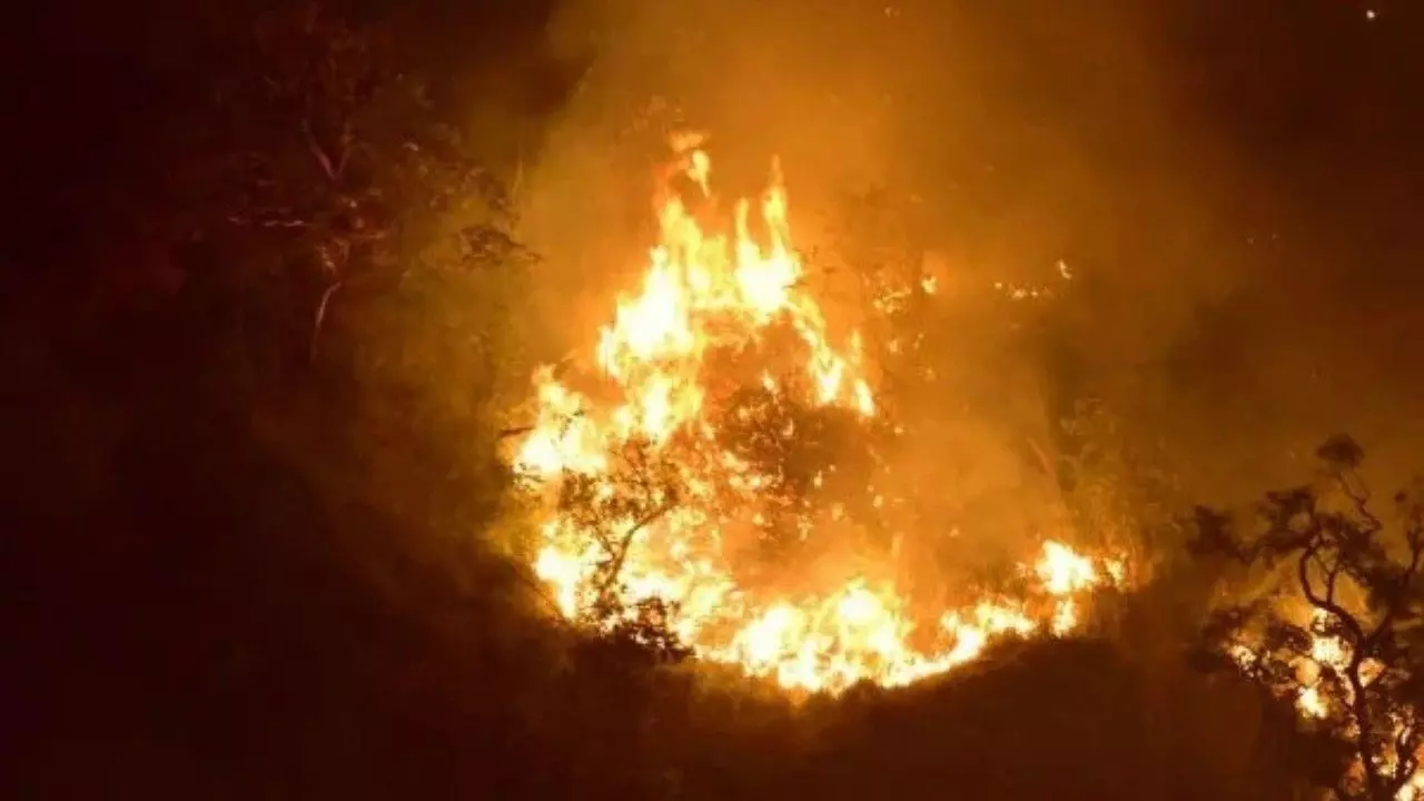 Charmadi Ghat Wildfire | ಚಾರ್ಮಾಡಿ ಘಾಟಿಯಲ್ಲಿ ಭಾರಿ ಕಾಡ್ಗಿಚ್ಚು