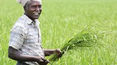 Union Budget 2025 | ರೈತರಿಗೆ ಬಂಪರ್‌ ಕೊಡುಗೆ; ಬಡ್ಡಿ ರಹಿತ ಕೃಷಿ ಸಾಲ 5 ಲಕ್ಷ ರೂ.ಗೆ ಏರಿಕೆ