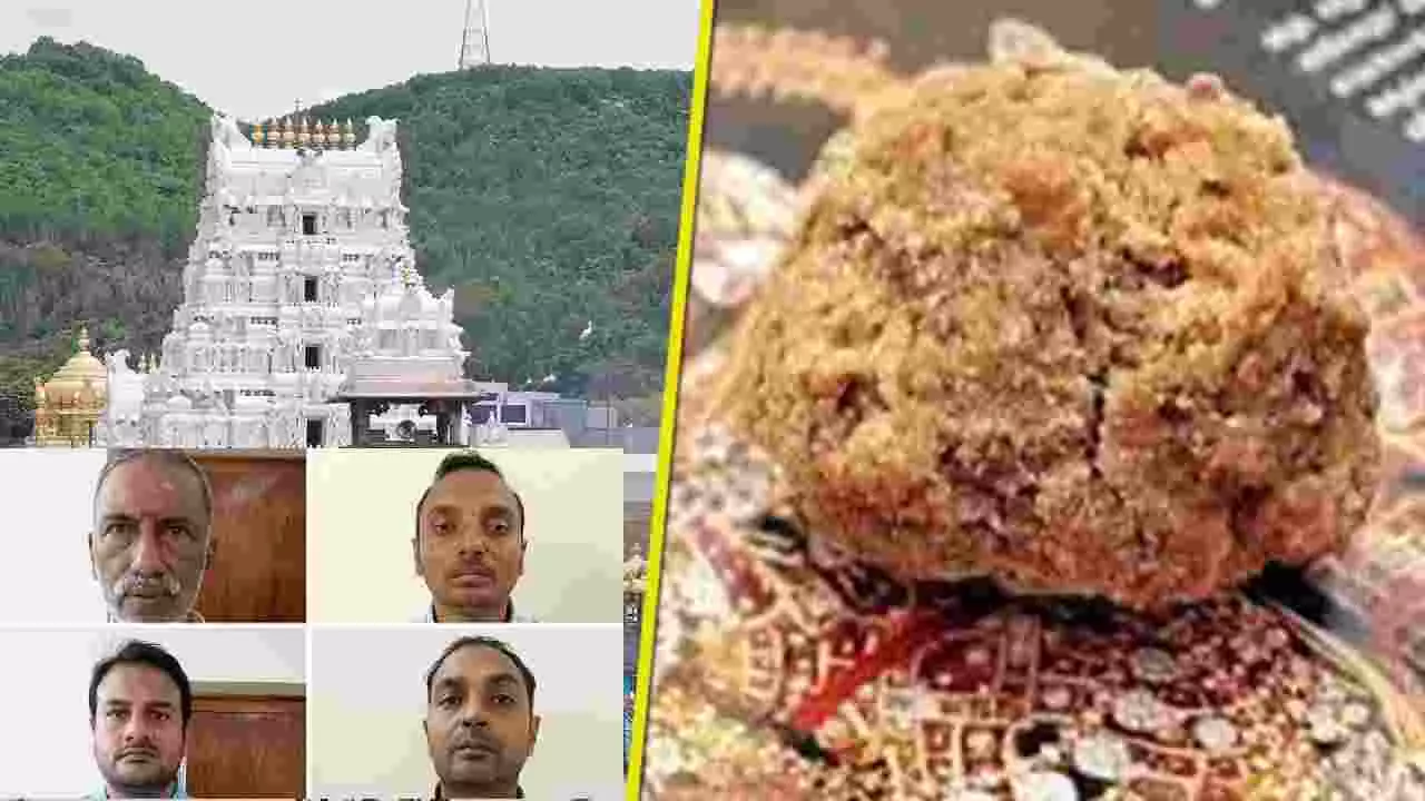 Tirupati Laddu : ತಿರುಪತಿ ಲಡ್ಡುವಿನಲ್ಲಿ ಪ್ರಾಣಿಗಳ ಕೊಬ್ಬು ಬೆರಕೆ ಪ್ರಕರಣ; ನಾಲ್ವರ ಬಂಧನ