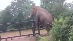 Human-wildlife conflict | 203 ಕಿ.ಮೀ. ರೈಲ್ವೆ ಬ್ಯಾರಿಕೇಡ್: ವನ್ಯಜೀವಿ-ಮಾನವ ಸಂಘರ್ಷ ತಪ್ಪಿಸಲು ಸರ್ಕಾರ ಯೋಜನೆ