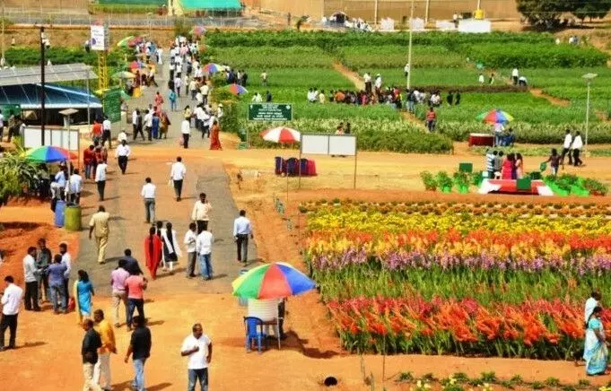 Horticulture Fair | ತೋಟಗಾರಿಕಾ ಮೇಳದಲ್ಲಿ ನವೀನ ತಂತ್ರಜ್ಞಾನ, ಬೆಳೆಯ ಹೊಸ ತಳಿಗಳ ಅನಾವರಣ