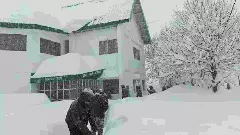 Uttarakhand avalanche : ಉತ್ತರಾಖಂಡ ಹಿಮಪಾತ; ಎಂಟು ಮಂದಿಯ ಶೋಧನೆಗೆ ಕಾರ್ಯಾಚರಣೆ ಮುಂದುವರಿಕೆ