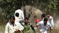 Karnataka Budget 2025 | ರಾಜ್ಯ ಬಜೆಟ್:‌ ಪರಿಸರ ಮತ್ತು ವನ್ಯಜೀವಿ ವಲಯದ ನಿರೀಕ್ಷೆಗಳೇನು?