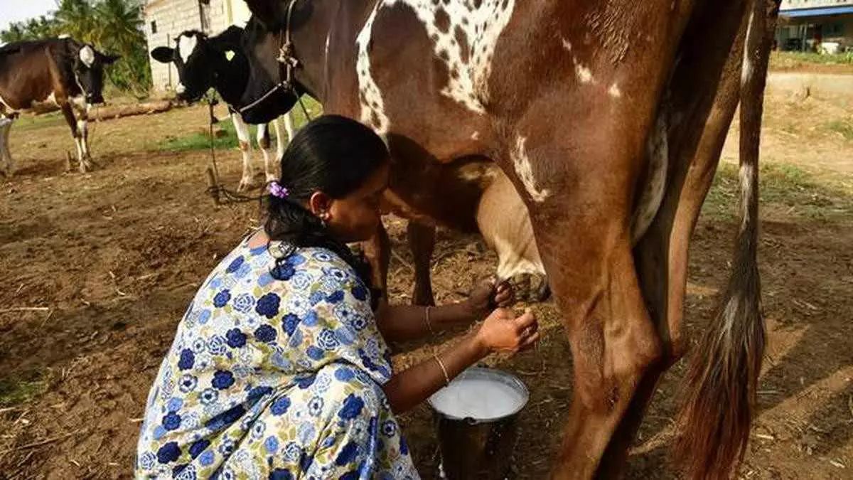 Nandini Milk | ಹಾಲಿನ ದರ ಏರಿಕೆ ಸುಳಿವು ಕೊಟ್ಟ ಪಶುಸಂಗೋಪನಾ ಸಚಿವ