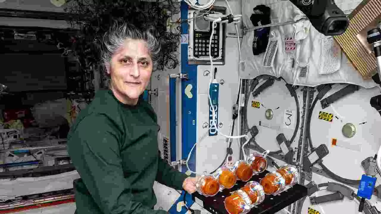 Sunita WIllams: ಭೂಮಿಗೆ ಇಳಿದ ಬಳಿಕ ಸುನಿತಾ ವಿಲಿಯಮ್ಸ್‌ ಎದುರಿಸಬಹುದಾದ ಆರೋಗ್ಯ ಸವಾಲುಗಳು ಯಾವುದೆಲ್ಲ?