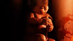 ಮಾಂಡರೀನ್‍ ಭಾಷೆಗೂ ಡಬ್‍ ಆಗುತ್ತಿದೆ ಕನ್ನಡದ ‘ಕರಳೆ’