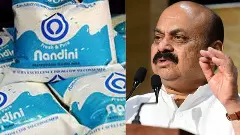 Milk Price Hike | ರೈತರ ಹೆಸರಿನಲ್ಲಿ ಗ್ರಾಹಕರಿಂದ ಲೂಟಿ; ರಾಜ್ಯ ಸರ್ಕಾರದ ವಿರುದ್ಧ ಮಾಜಿ ಸಿಎಂ ಬೊಮ್ಮಾಯಿ ಆಕ್ರೋಶ