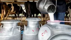 Milk Price Hike | ಹೈನುಗಾರರಿಗೆ ದರ ಹೆಚ್ಚಳದ ಲಾಭಾಂಶ; ಗ್ರಾಹಕರಿಗೆ ಹಾಲು ಖರೀದಿ ಸಂಕಷ್ಟ