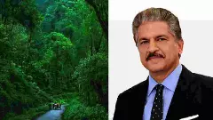 ಚಿಕ್ಕಮಗಳೂರಿನ ಬಾಬಾ ಬುಡನ್ ​ಗಿರಿ ಬೆಟ್ಟ, ಕಾಫಿ ಇತಿಹಾಸ ಮೆಚ್ಚಿ ಬರೆದ ಉದ್ಯಮಿ ಆನಂದ್ ಮಹೀಂದ್ರಾ