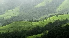 ಗೋವಾ-ತಮ್ನಾರ್ ವಿದ್ಯುತ್ ಮಾರ್ಗ | ಅರಣ್ಯ ಇಲಾಖೆ ನಿಲುವಿನಿಂದ‌  ಪಶ್ಚಿಮ ಘಟ್ಟ ಜೀವ ವೈವಿಧ್ಯಕ್ಕೆ ಹಾನಿ