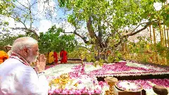 2300 ವರ್ಷ ಹಳೆಯ ಬೋಧಿ ವೃಕ್ಷವಿರುವ ಬೌದ್ಧ ದೇವಾಲಯಕ್ಕೆ ಪ್ರಧಾನಿ ಮೋದಿ- ಶ್ರೀಲಂಕಾ ಅಧ್ಯಕ್ಷ ಭೇಟಿ