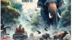 Save Bandipur: ಪರಿಸರವಾದಿಗಳಿಂದ ಮಾನವ ಸರಪಳಿ ನಿರ್ಮಿಸಿ ಬಂಡೀಪುರ ಉಳಿಸಿ ಅಭಿಯಾನ