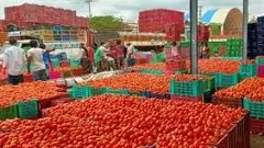 ಪಾಕಿಸ್ತಾನಕ್ಕೆ ಟೊಮೆಟೊ ಕೊಡಲ್ಲ; ಕೊಲಾರದ ರೈತರ ನಿರ್ಧಾರ