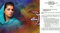 Immediate Ban on Streaming Content Originating from Pakistan