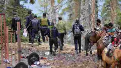 Encounter underway in J-Ks Shopian