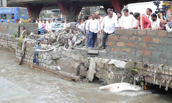 ಮಳೆ ಅನಾಹುತ ಸಂಭವಿಸಿರುವ ಪ್ರದೇಶಗಳಿಗೆ ಭೇಟಿ ನೀಡಿ ಪರಿಶೀಲಿಸಿದ ಬಿಜೆಪಿ ನಿಯೋಗ ಮಳೆ ಅನಾಹುತ ಸಂಭವಿಸಿರುವ ಪ್ರದೇಶಗಳಿಗೆ ಭೇಟಿ ನೀಡಿ ಪರಿಶೀಲಿಸಿದ ಬಿಜೆಪಿ ನಿಯೋಗ