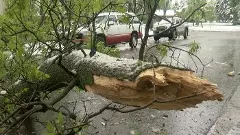 ಬೆಂಗಳೂರಿನ ಕೋರಮಂಗಲದಲ್ಲಿ ಮರದ ಕೊಂಬೆ ಬಿದ್ದು ದ್ವಿಚಕ್ರ ವಾಹನ ಸವಾರ ಸಾವು