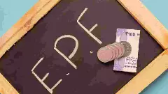 Govt ratifies interest rate on employees provident fund at 8.25 pc for FY25