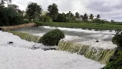 Bellandur Lake | ಬೆಳ್ಳಂದೂರು ಕೆರೆಯಲ್ಲಿ ಮತ್ತೆ ಕಾಣಿಸಿಕೊಂಡ ವಿಷಕಾರಿ ನೊರೆ ; ಆರೋಗ್ಯದ ಮೇಲೆ ಬೀರುವ ಪರಿಣಾಮವೇನು?