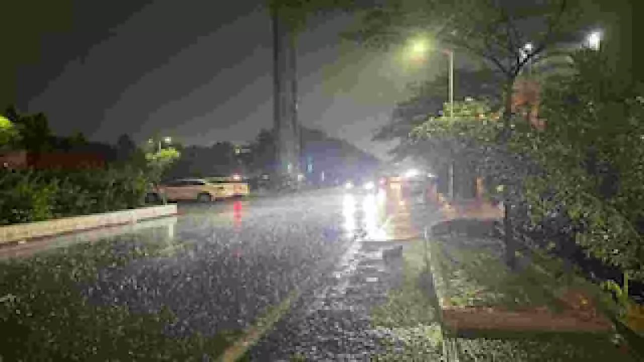Delhi Rains | ದೆಹಲಿ: ಜೋರು ಮಳೆ, 100ಕ್ಕೂ ಅಧಿಕ ವಿಮಾನಗಳ ಹಾರಾಟ ರದ್ದು Delhi Rains | ದೆಹಲಿ: ಜೋರು ಮಳೆ, 100ಕ್ಕೂ ಅಧಿಕ ವಿಮಾನಗಳ ಹಾರಾಟ ರದ್ದು