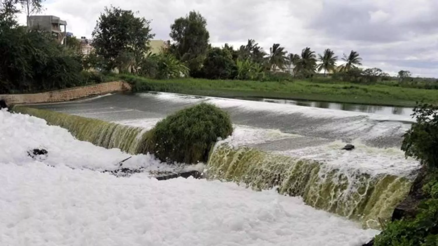 Bellandur Lake | ಬೆಳ್ಳಂದೂರು ಕೆರೆಯಲ್ಲಿ ಮತ್ತೆ ಕಾಣಿಸಿಕೊಂಡ ವಿಷಕಾರಿ ನೊರೆ ; ಆರೋಗ್ಯದ ಮೇಲೆ ಬೀರುವ ಪರಿಣಾಮವೇನು? Bellandur Lake | ಬೆಳ್ಳಂದೂರು ಕೆರೆಯಲ್ಲಿ ಮತ್ತೆ ಕಾಣಿಸಿಕೊಂಡ ವಿಷಕಾರಿ ನೊರೆ ; ಆರೋಗ್ಯದ ಮೇಲೆ ಬೀರುವ ಪರಿಣಾಮವೇನು?