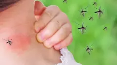 ಬೆಂಗಳೂರಿನಲ್ಲಿ ಕೊರೊನಾ ಮಧ್ಯೆ ಡೆಂಗ್ಯೂ, ಚಿಕುನ್‌ಗುನ್ಯಾ ಜ್ವರ ತಂದ ಆತಂಕ