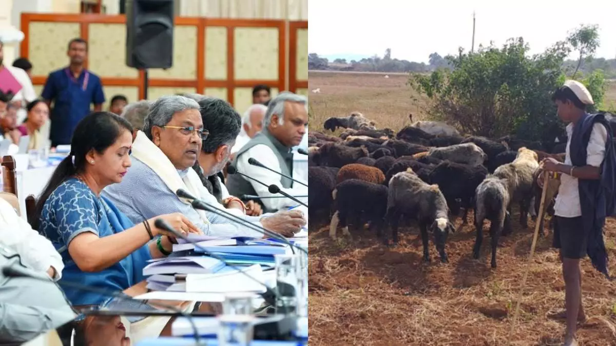 ಕುರಿಗಾಹಿಗಳಿಗೆ ಬಂದೂಕು ಪರವಾನಗಿ; ಅಧಿಕಾರಿಗಳಿಗೆ ಸಿಎಂ ಸೂಚನೆ ಕುರಿಗಾಹಿಗಳಿಗೆ ಬಂದೂಕು ಪರವಾನಗಿ; ಅಧಿಕಾರಿಗಳಿಗೆ ಸಿಎಂ ಸೂಚನೆ