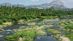 ಮಲೆ ಮಹದೇಶ್ವರ ಅರಣ್ಯದ ಆನೆ ಕಾರಿಡಾರ್‌ ನಡುವೆ ಜಲವಿದ್ಯುತ್ ಯೋಜನೆ; ಭ್ರಷ್ಟಾಚಾರದ ವಾಸನೆ