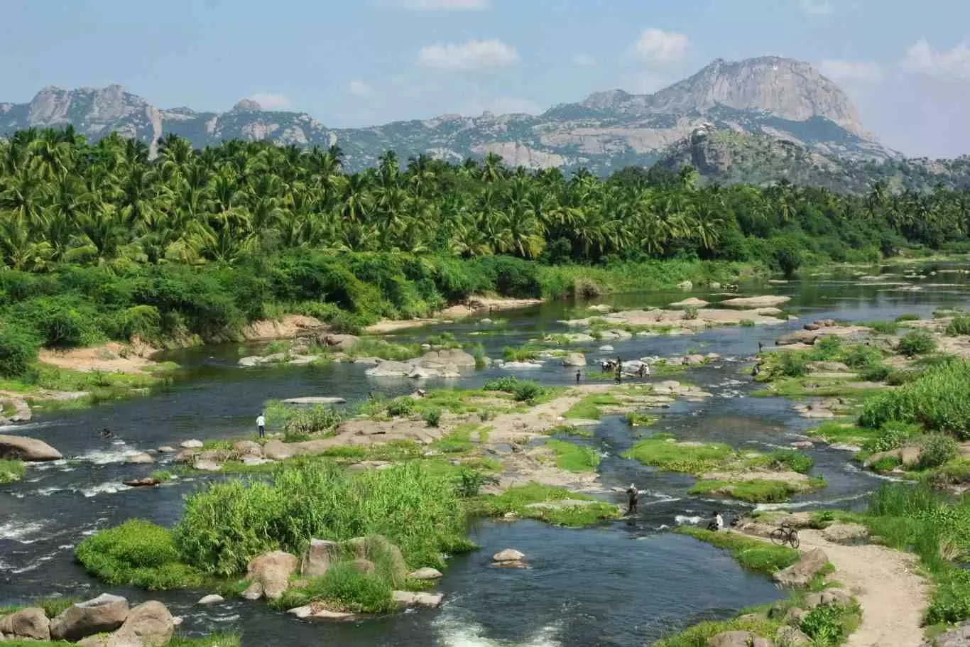 ಮಲೆ ಮಹದೇಶ್ವರ ಅರಣ್ಯದ ಆನೆ ಕಾರಿಡಾರ್ ನಡುವೆ ಜಲವಿದ್ಯುತ್ ಯೋಜನೆ; ಭ್ರಷ್ಟಾಚಾರದ ವಾಸನೆ ಮಲೆ ಮಹದೇಶ್ವರ ಅರಣ್ಯದ ಆನೆ ಕಾರಿಡಾರ್ ನಡುವೆ ಜಲವಿದ್ಯುತ್ ಯೋಜನೆ; ಭ್ರಷ್ಟಾಚಾರದ ವಾಸನೆ