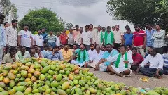 Price drop: Mango growers protest Srinivasapur bandh, demand subsidy
