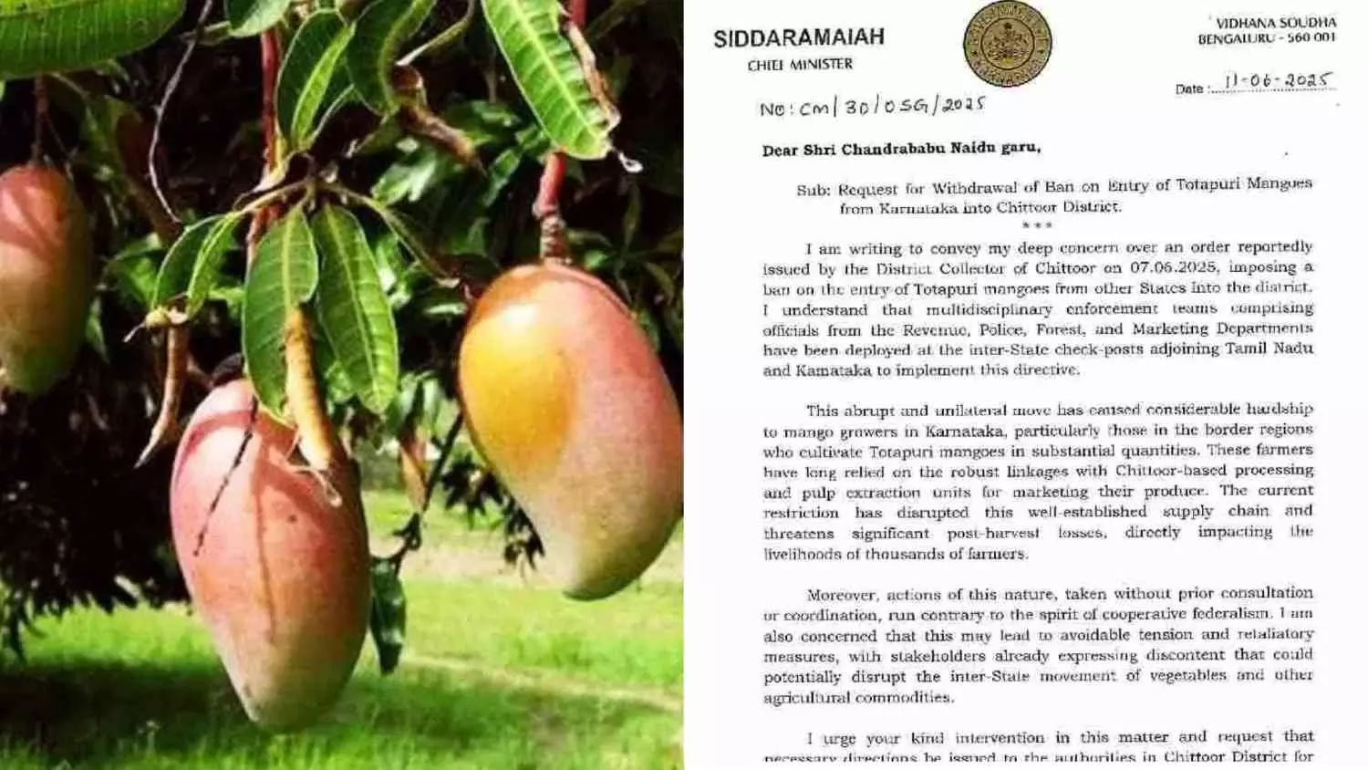 ಚಿತ್ತೂರು ಜಿಲ್ಲೆಗೆ ತೋತಾಪುರಿ ಮಾವು ಪ್ರವೇಶ ನಿರ್ಬಂಧ ಹಿಂಪಡೆಯಲು ಆಂಧ್ರ ಸಿಎಂಗೆ ಸಿದ್ದರಾಮಯ್ಯ ಒತ್ತಾಯ