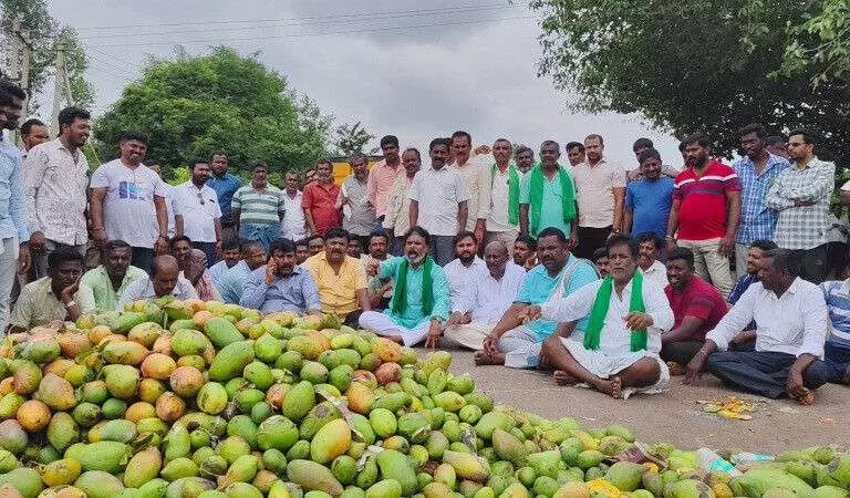 Price drop: Mango growers protest Srinivasapur bandh, demand subsidy Price drop: Mango growers protest Srinivasapur bandh, demand subsidy