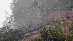 ರಾಜ್ಯಾದ್ಯಂತ ವರುಣನ ಆರ್ಭಟ: ಶೃಂಗೇರಿ-ಮಂಗಳೂರು ಹೆದ್ದಾರಿ ಬಂದ್