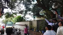 Young man dies after falling branch: Minister Khandre orders removal of dangerous tree and branch