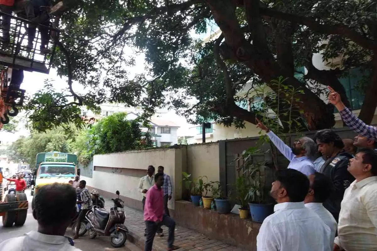 Young man dies after falling branch: Minister Khandre orders removal of dangerous tree and branch Young man dies after falling branch: Minister Khandre orders removal of dangerous tree and branch