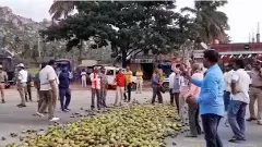 ಮಾವಿಗೆ ಬೆಂಬಲ ಬೆಲೆ ಆಗ್ರಹಿಸಿ ಕೋಲಾರದಲ್ಲಿ ರೈತರ ಆಕ್ರೋಶ: ರಾಷ್ಟ್ರೀಯ ಹೆದ್ದಾರಿ ಮಾವು ಸುರಿದು ಪ್ರತಿಭಟನೆ