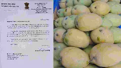 2.5 ಲಕ್ಷ ಮೆಟ್ರಿಕ್ ಟನ್ ಮಾವು ಖರೀದಿಗೆ ಅನುಮೋದನೆ; ಕರ್ನಾಟಕದ ಮಾವು ಬೆಳೆಗಾರರಿಗೆ ಕೇಂದ್ರದ ಆಸರೆ