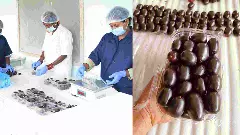 ಕರ್ನಾಟಕದ ನೇರಳೆ ಹಣ್ಣು ಲಂಡನ್‌ಗೆ ರಫ್ತು: ಬೆಳೆಗಾರರಿಗೆ ಉತ್ತೇಜನ