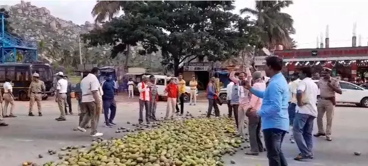 ಮಾವಿಗೆ ಬೆಂಬಲ ಬೆಲೆ ಆಗ್ರಹಿಸಿ ಕೋಲಾರದಲ್ಲಿ ರೈತರ ಆಕ್ರೋಶ: ರಾಷ್ಟ್ರೀಯ ಹೆದ್ದಾರಿ ಮಾವು ಸುರಿದು ಪ್ರತಿಭಟನೆ