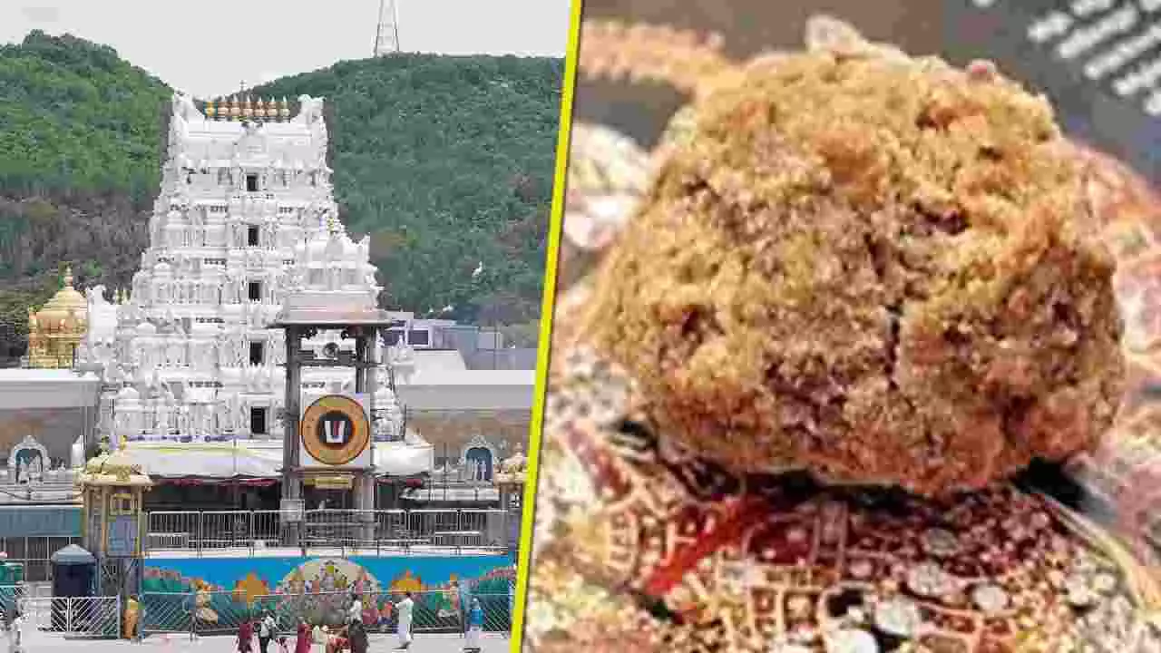 ತಿರುಪತಿಯಲ್ಲಿ ಇನ್ನು ಕಿಯೋಸ್ಕ್​​ಗಳ ಮೂಲಕ ಲಡ್ಡು ಪ್ರಸಾದ ಪಡೆಯಿರಿ