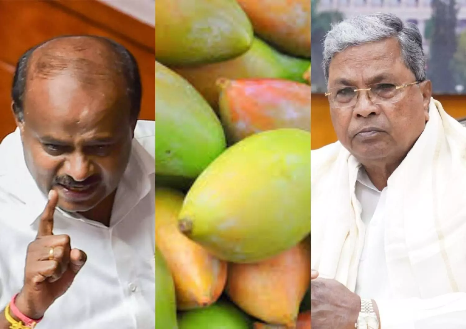 ಮಾವು ಬೆಳೆಗೆ ಬೆಂಬಲ ಬೆಲೆ: ಕುಮಾರಸ್ವಾಮಿ-ಬಿಜೆಪಿ ಆಟ; ಕಾಂಗ್ರೆಸ್ಗೆ ಪೀಕಲಾಟ ಮಾವು ಬೆಳೆಗೆ ಬೆಂಬಲ ಬೆಲೆ: ಕುಮಾರಸ್ವಾಮಿ-ಬಿಜೆಪಿ ಆಟ; ಕಾಂಗ್ರೆಸ್ಗೆ ಪೀಕಲಾಟ