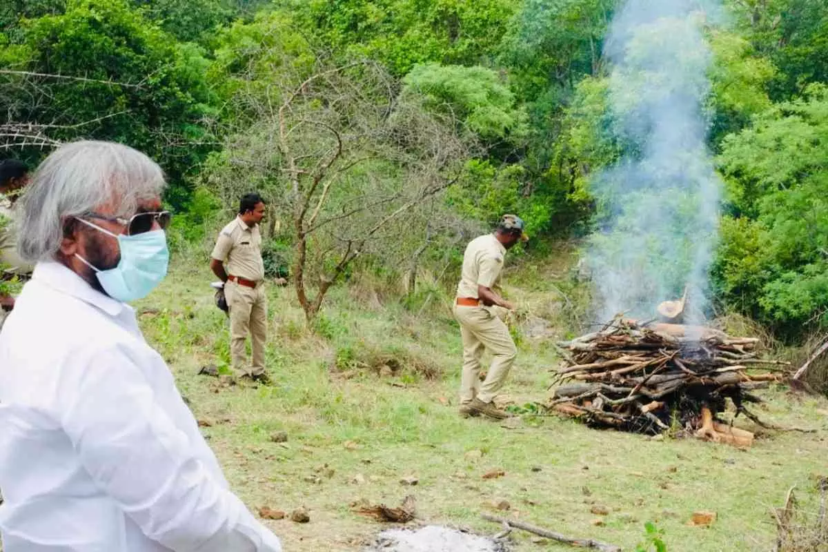 Strict action against those responsible for the death of five tigers: Minister Eshwar Khandre Strict action against those responsible for the death of five tigers: Minister Eshwar Khandre