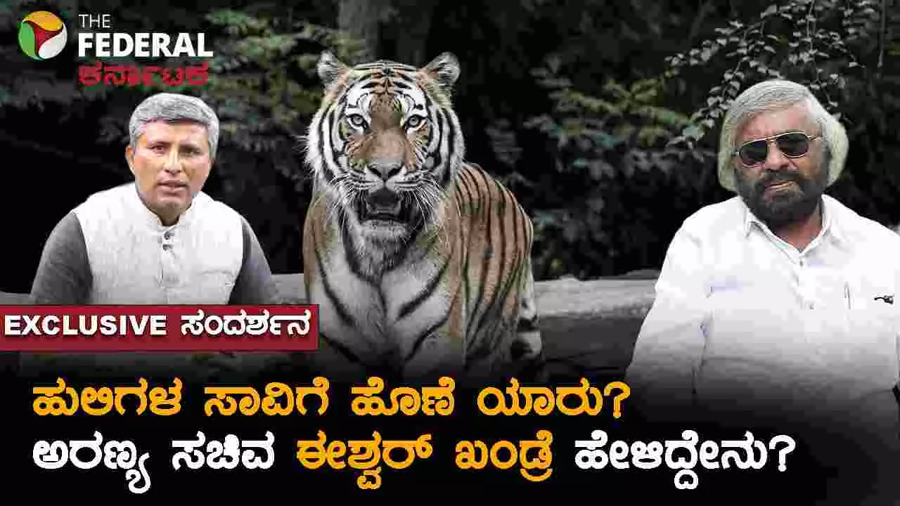 Exclusive Interview : ಐದು ಹುಲಿಗಳಿಗೆ ವಿಷ ಇಟ್ಟವರು ಯಾರು? ಅರಣ್ಯ ಸಚಿವ ಈಶ್ವರ್ ಖಂಡ್ರೆ ನೀಡಿದ ಮಾಹಿತಿಗಳೇನು? Exclusive Interview : ಐದು ಹುಲಿಗಳಿಗೆ ವಿಷ ಇಟ್ಟವರು ಯಾರು? ಅರಣ್ಯ ಸಚಿವ ಈಶ್ವರ್ ಖಂಡ್ರೆ ನೀಡಿದ ಮಾಹಿತಿಗಳೇನು?