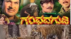 Save Karnataka Tigers: ವಿಷಪ್ರಾಶನದಿಂದ ಹುಲಿಗಳ ಹತ್ಯೆ; ʼಗಂಧಧ ಗುಡಿʼಯ ಪ್ರಾಣಿ ರಕ್ಷಣೆಗೆ ಡಾ. ರಾಜ್‌ಕುಮಾರ್‌ ಸಂದೇಶ