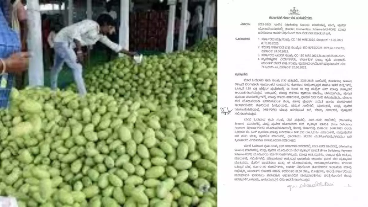 Mango purchase | Rs. 101 crore released from the state for price difference payment Mango purchase | Rs. 101 crore released from the state for price difference payment