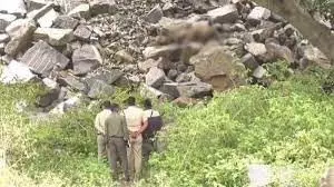 Leopard dies before tiger deaths in Chamarajanagar, poisoning suspected